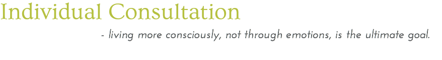 Individual Consultation - living more consciously, not through emotions, is the ultimate goal. 